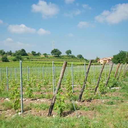 Agriturismo Albarello 소나 외부 사진