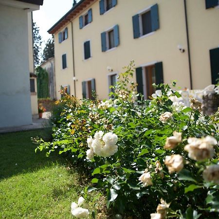 Agriturismo Albarello 소나 외부 사진