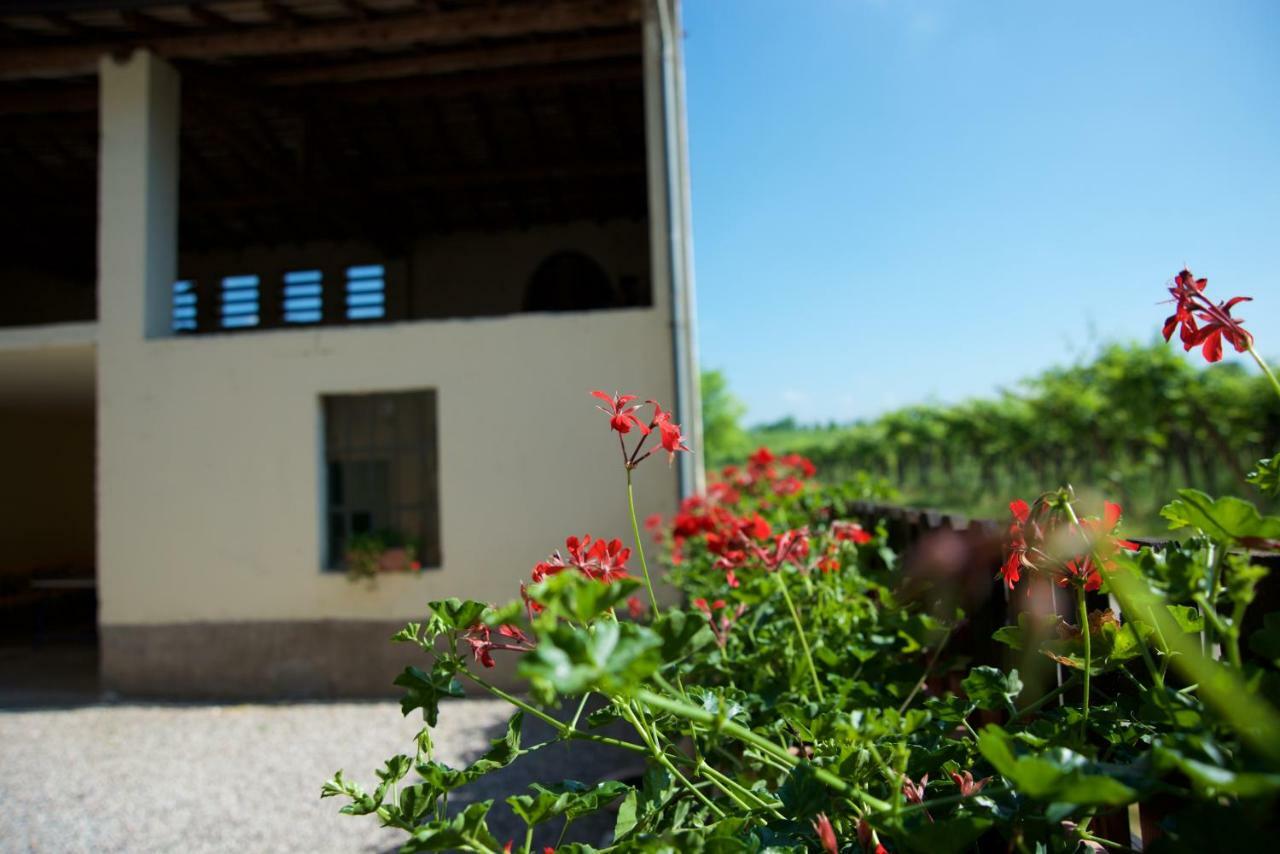 Agriturismo Albarello 소나 외부 사진