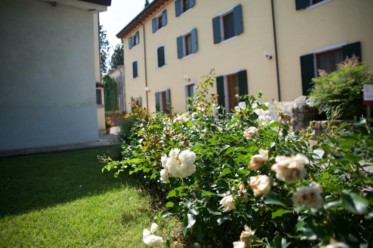 Agriturismo Albarello 소나 외부 사진