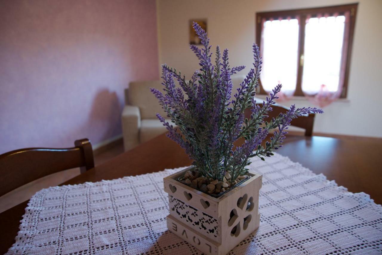 Agriturismo Albarello 소나 외부 사진